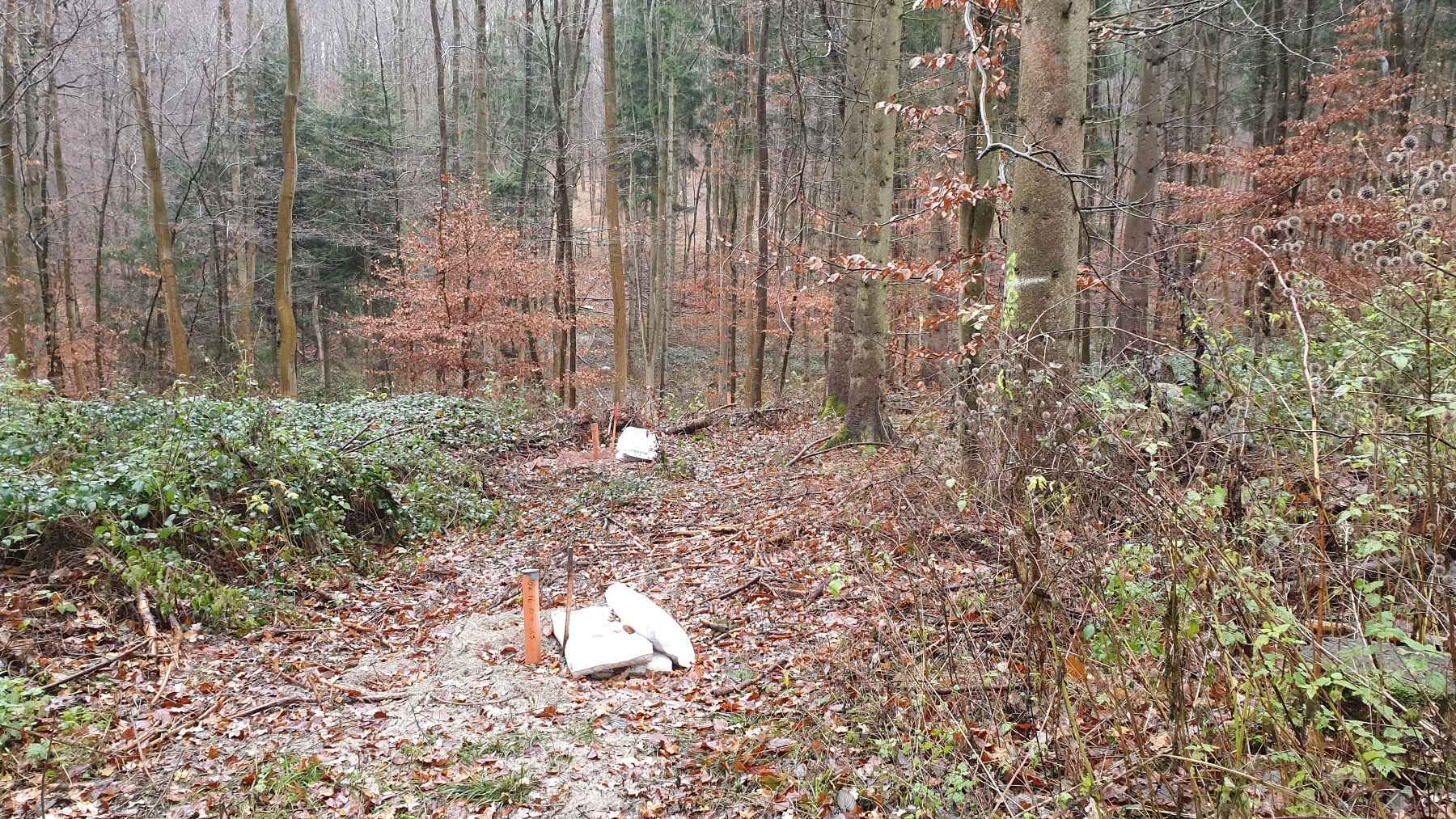 Bohrlöcher in der Asse In einem Wald ragen Rohre aus dem Boden. Daneben liegen weiße Säcke.